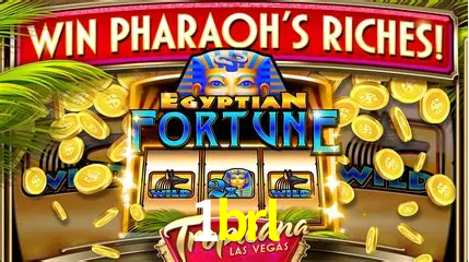 Cassino ao vivo com dealers reais na 1brl